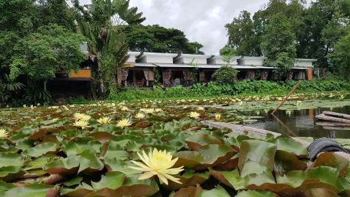 Saikaew Resort - Housity