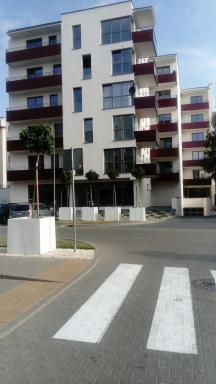Maestro - Housity