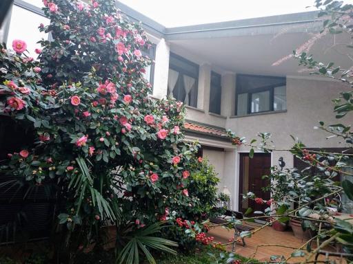 La Maison Blanche - Housity