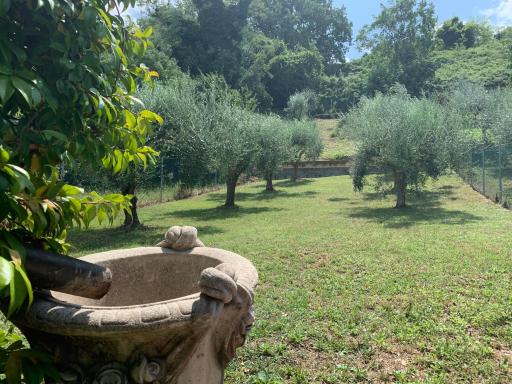 Casa Vacanze tra Mare e Montemaggiore - Housity
