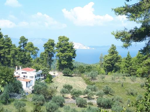 Wildherb House - Housity