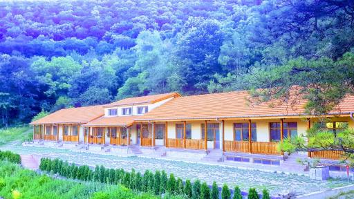Complex Lovets - Housity
