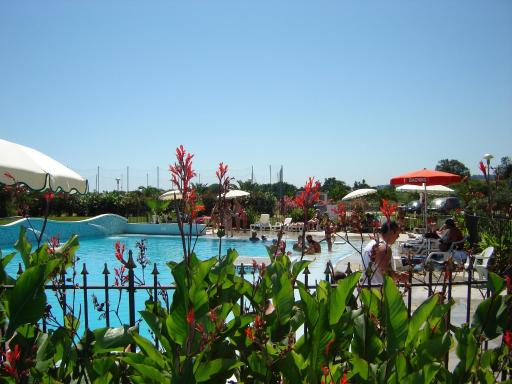 Elena Club Resort - Housity