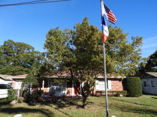 The Flo's House - Housity