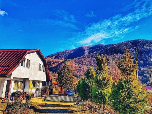 Panaite’s Home - Housity