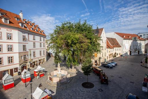 Best View Apartments - Housity