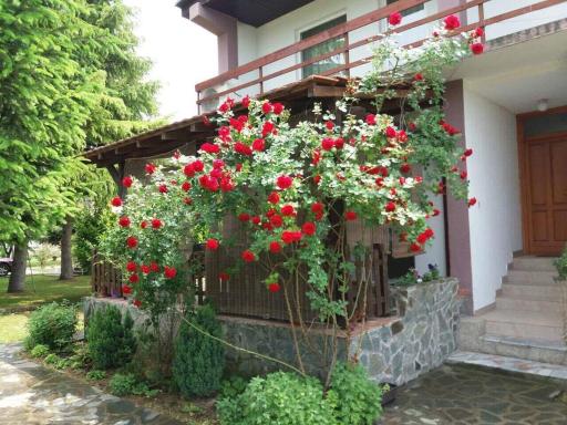 Riverside Villa Matka - Housity