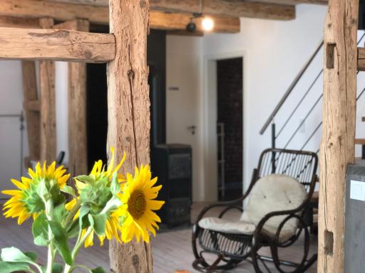 Ferienhaus Paradiso - Housity