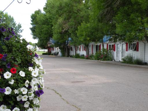 Bluebird Motel - Housity