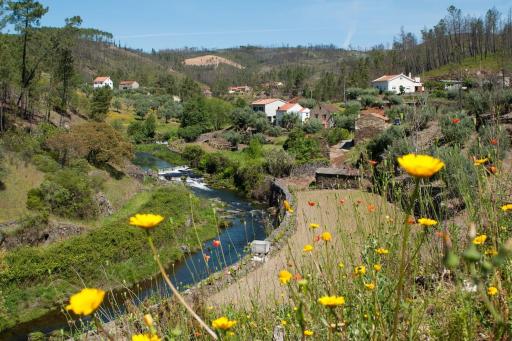 Azoka by the River- Proença-a-Nova - Housity