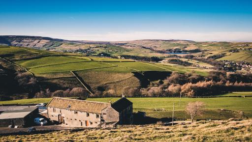 Coddy's Farm - Housity