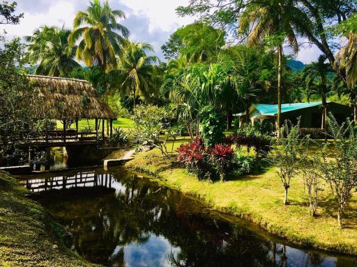 CHARMING JUNGLE HOME ON PRIVATE ORANGE ORCHARD - Housity