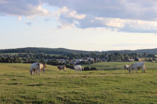 Čtyři pokoje - Housity