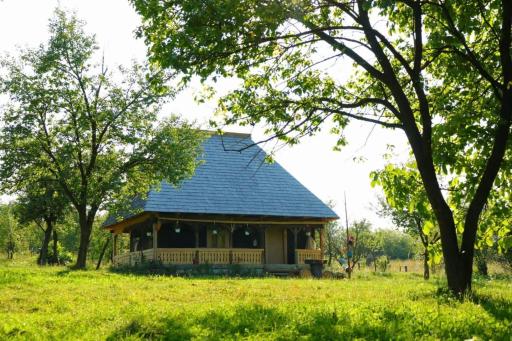Casuța din Grădină - Housity
