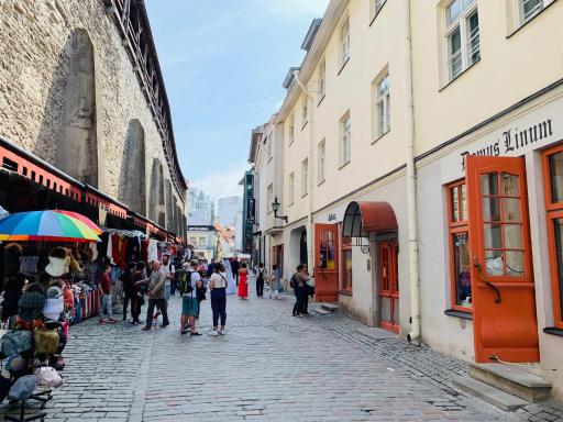 Tallinn City Apartments 4 bedroom with sauna and 2 bathroom - Housity