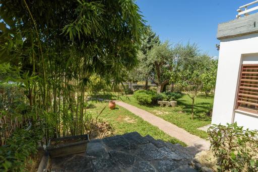 An Edens Garden Near The Sea - Pansion Youli - Housity