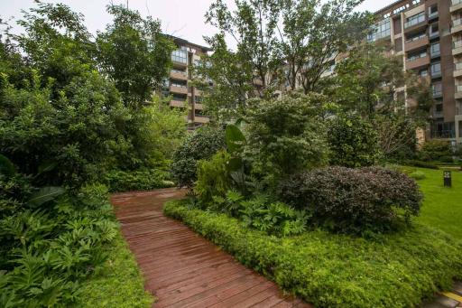 Chengdu Dujiangyan·DuJiangYan· - Housity