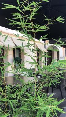 Valentino b&b - Housity