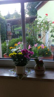 Gästewohnung zum Wohlfühlen - Housity