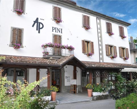 Hotel Pini - Housity