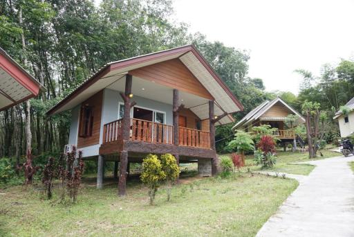 Mookanda bungalow - Housity