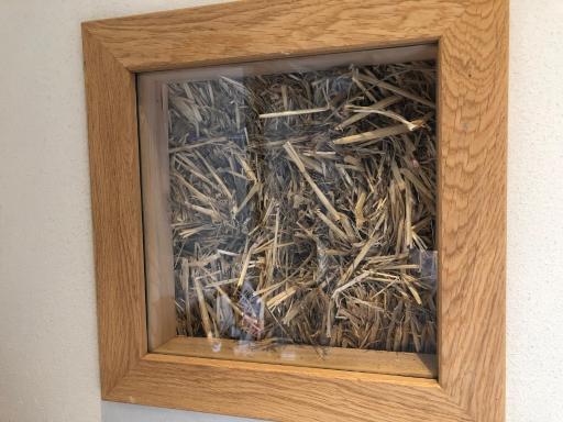 Poelyck: Übernachten in einem Strohhaus, umgeben von purer Natur! - Housity