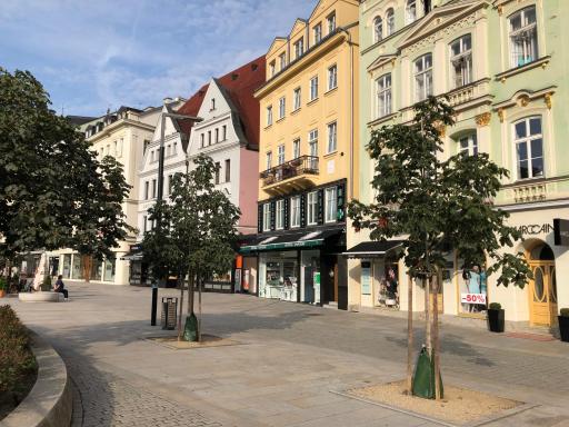 Apartmán Orchidej u Vřídla - Housity