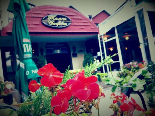 Hotel Tomce Sofka - Housity