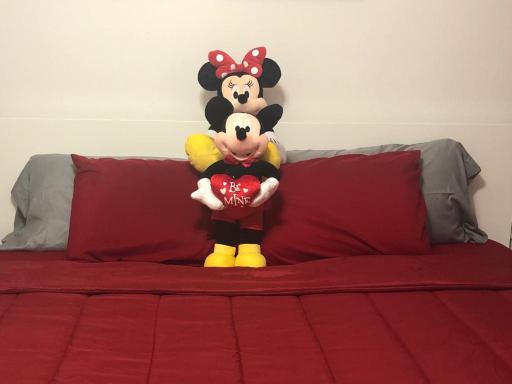 Beautiful Suite near Disney World - Champions Gate - Housity