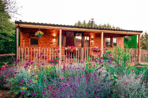Cherry Tree Glamping - Housity