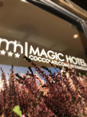 Magic Hotel - Housity