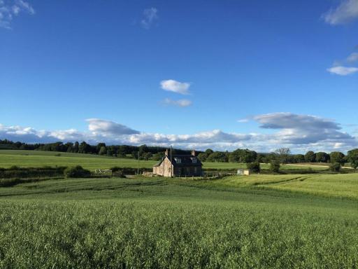 Blackhill Farm Cottage - Housity