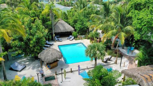 Siesta Key Palms Resort - Housity