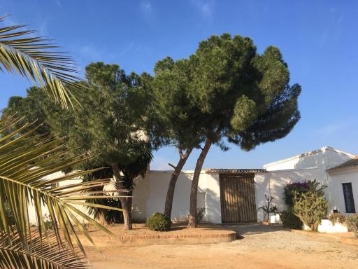 Torre de la Campana - Housity