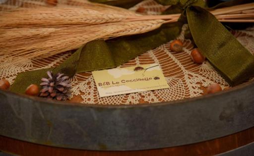 B&B Le Coccinelle - Housity