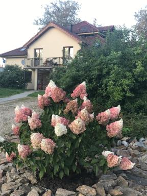 Apartman Harmonia Poděbrady 60m2 - Housity