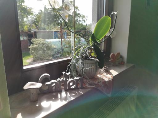 Ferienwohnung Nordlicht - Housity