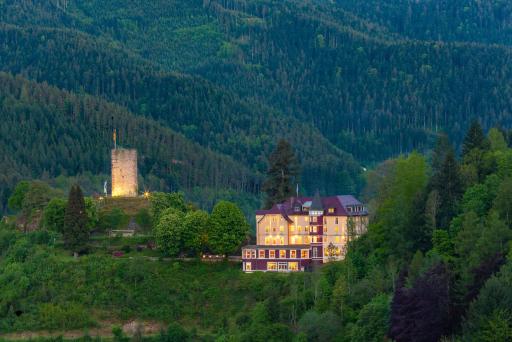 Hotel Schloss Hornberg - Housity