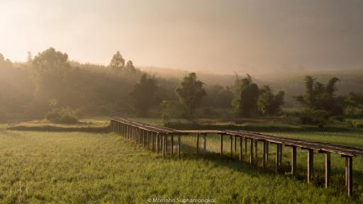 Phuruarounmai Organic Living Resort - Housity