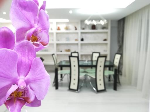 Paradise Apartament - Housity