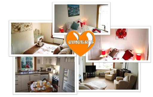 Ginger's - Hizvo