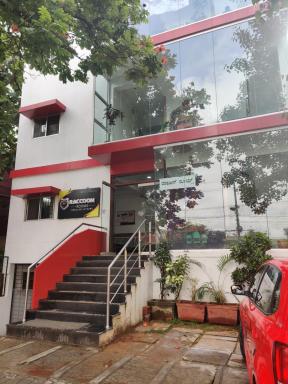 Raccoon Rooms - Housity