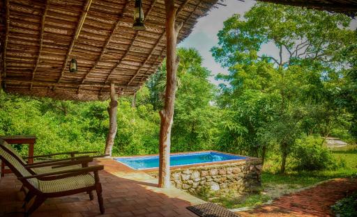 Wild Wadi Wilpattu - Housity