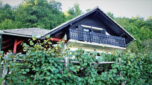 Vineyard Cottage Zajc - Housity
