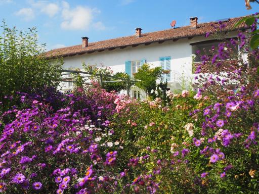 Casa del Roseto - Housity