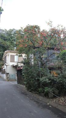 Sadie's Home - Housity