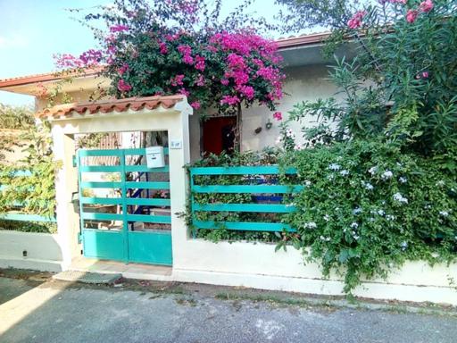 Villa Ada - Housity