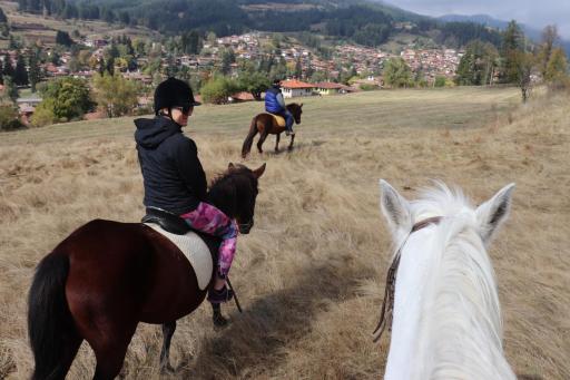 Dona Guest House - Horse Riding - Hizvo
