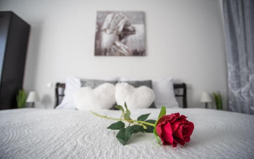 Diamond Palace - Housity