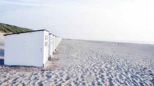 Carpe diem Noguchi 201- Adults Only - Housity